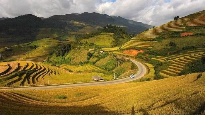 La beauté de la saison du riz mûr à Mu Cang Chai. Photo : Booking.com 