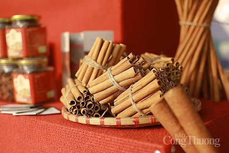 Le respect des normes de durabilité est très important pour que les produits vietnamiens comme la cannelle pénètrent le marché mondial. Photo : congthuong.vn.