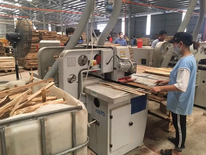 D’ici 2050, le secteur forestier du Vietnam doit devenir vraiment un secteur économique moderne, efficace et hautement compétitif. Photo: NDEL