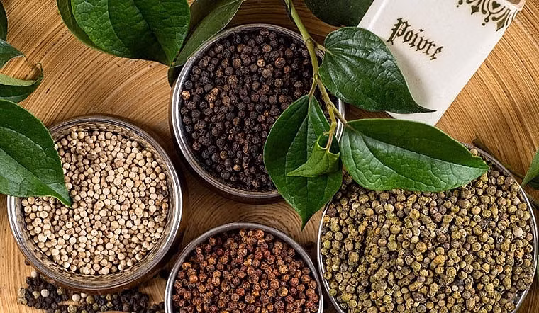 Le Vietnam est le plus grand producteur et exportateur de poivre au monde. Photo: baohaiquan.