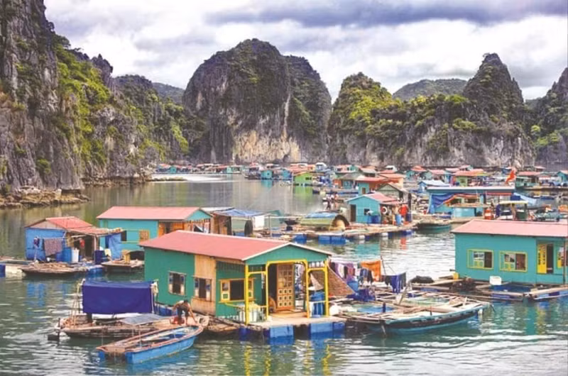 La vie des pêcheurs est étroitement liée aux radeaux flottants principalement fabriqués en bois, en bambou ou en tôle ondulée avec diverses couleurs. Photo : Saostar. La vie des pêcheurs est étroitement liée aux radeaux flottants principalement fabriqués en bois, en bambou ou en tôle ondulée avec diverses couleurs. Photo : Saostar.