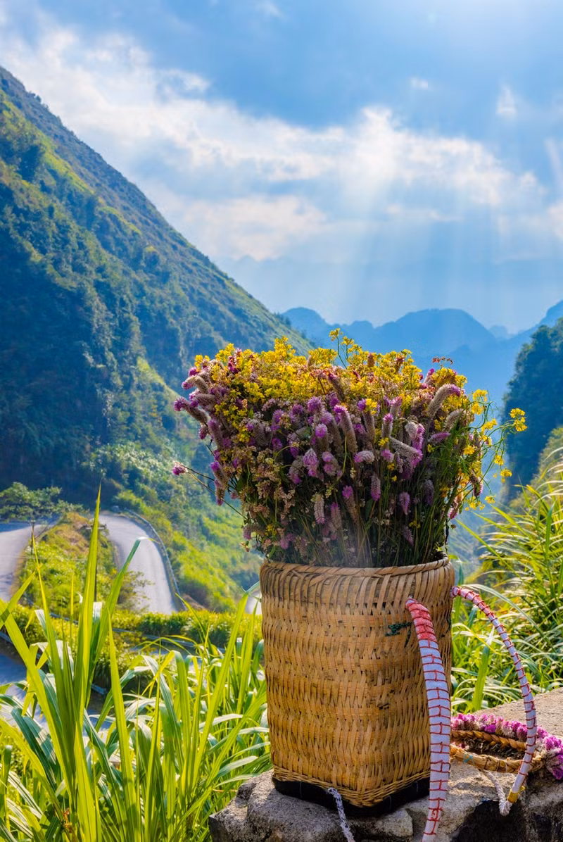 Thien a pris une photo d'un panier rempli de fleurs sauvages alors qu'il montait le col de Tham Ma, l'une des plus belles routes de montagne du nord du Vietnam. Cet endroit est une étape prisée des visiteurs, qui prennent souvent des photos d'en haut pour admirer les courbes du col en contrebas. Thien a pris une photo d'un panier rempli de fleurs sauvages alors qu'il montait le col de Tham Ma, l'une des plus belles routes de montagne du nord du Vietnam. Cet endroit est une étape prisée des visiteurs, qui prennent souvent des photos d'en haut pour admirer les courbes du col en contrebas.