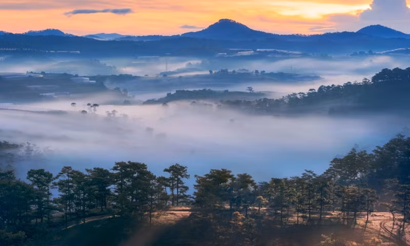 Sur la photo, la colline d'herbes roses à Da Lat, en novembre 2021. La saison typique de l'herbe rose de Da Lat n'apparaît qu'une fois par an, de début novembre à fin décembre.