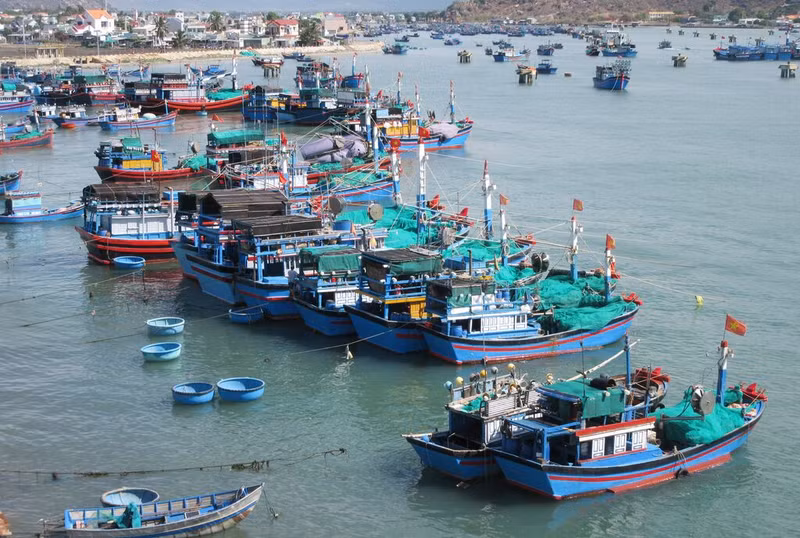 Binh Thuân redouble d'efforts pour lutter contre la pêche INN. Photo : VNA.