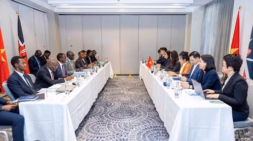 Le vice-ministre des Affaires étrangères, Nguyên Minh Hang en réunion avec son homologue Abraham Korir Sing'Oei. Photo : Ministère des Affaires étrangères du Vietnam.