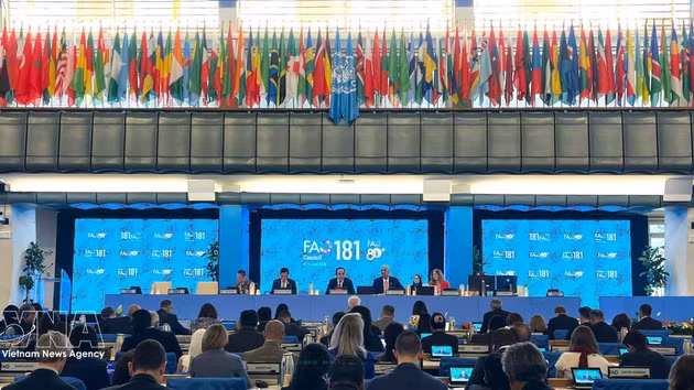 Lors de l’ouverture de la 181e session du Conseil de la FAO, qui se déroule à Rome, en Italie. Photo : VNA.