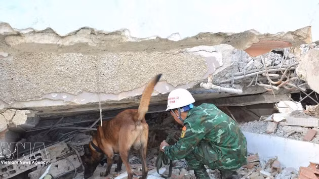 Les chiens de recherche sont déployés en premier pour repérer les zones où pourraient se trouver des victimes. Photo : VNA. 