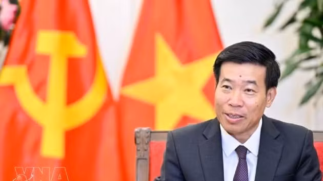 Le vice-ministre vietnamien des Affaires étrangères, Le Manh Cuong. Photo : VNA. 