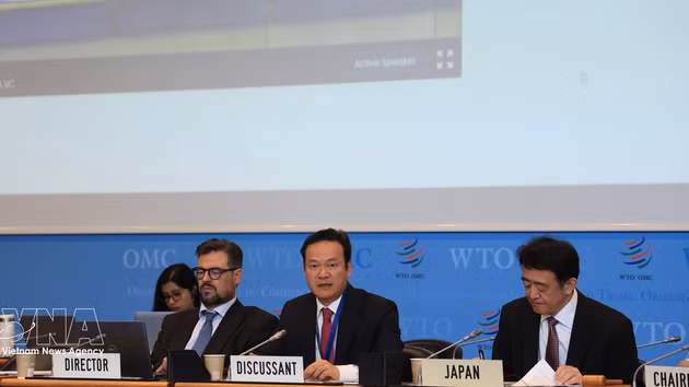 L’ambassadeur Mai Phan Dung s'exprime lors de la session. Photo: VNA