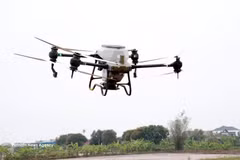 La coopérative de jeunesse Nam Dai Duong, dans la commune de Nghia Hung (province de Ninh Binh), utilise des drones pour le semis du riz. Photo d'illustration : Nguyen Lanh - VNA.