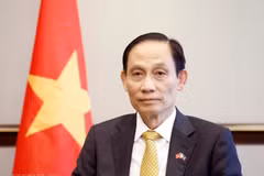Le ministre des Affaires étrangères Le Hoai Trung. Photo : VNA.
