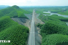 L’un des piliers essentiels permettant au Vietnam d’atteindre son objectif de neutralité carbone d’ici 2050 réside dans les importants puits de carbone que constituent ses forêts, ses mers et ses écosystèmes naturels. Photo : VNA