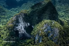 Phong Nha – Ke Bang, un trésor de biodiversité dans la chaîne de montagnes de Truong Son. Photo : VNA