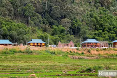 Le site de relogement de Pom Dung. Photo: nguoiduatin.vn