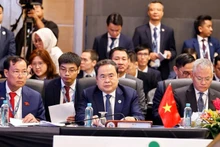 Le président de l’Assemblée nationale Tran Thanh Man (au milieu du 1er plan) et sa délégation à la réunion du Comité exécutif de la 46e Assemblée interparlementaire de l’ASEAN (AIPA-46). Photo : VNA.