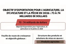 Objectif d'exportation pour l'agriculture, la sylviculture et la pêche en 2026 : 73 - 74 milliards de dollars