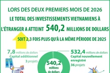  [Infographie] Le total des investissements vietnamiens à l’étranger atteint 540,2 millions de dollars en deux mois