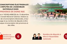 [Infographie] Les circonscriptions électorales des députés de l’Assemblée nationale dans la province de Dong Nai 