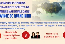 [Infographie] Les circonscriptions électorales des députés de l’Assemblée nationale dans la province de Quang Ninh 