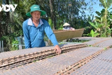 Les galettes de riz de Thuan Hung possèdent une saveur unique, différente de celles d’ailleurs. Photo : VOV.