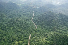 La commune de Cuc Phuong bénéficie d’un écosystème de forêt primaire d’une grande richesse, de paysages karstiques montagneux emblématiques et d’un environnement écologique rare et préservé. Photo : Vnexpress.