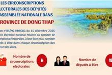 [Infographie] Les circonscriptions électorales des députés de l’Assemblée nationale dans la province de Dong Thap