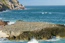 À la découverte de Hang Rai, joyau naturel de Khanh Hoa