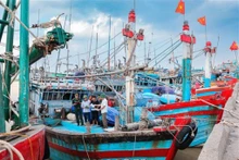 La lutte contre la pêche INN et la levée du « carton jaune » constituent une mission particulièrement importante et urgente. Photo : VNA.