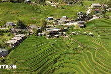 Le Vietnam adopte un programme pour les zones ethniques et montagneuses. Photo : VNA.