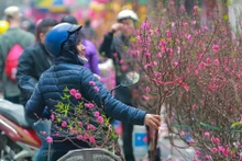 Une série de vagues de froid devrait toucher le Nord et le Centre-Nord d'ici aux vacances du Nouvel An lunaire (du 14 au 22 février). Photo : VietnamPlus.