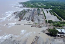 Les glissements de terrain sont complexes et menacent directement la vie et les moyens de subsistance des populations des zones côtières de Ca Mau.