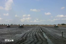 Le secteur agricole exhorte les agriculteurs à ne planter des cultures que lorsqu'un approvisionnement suffisant en eau est garanti. Photo : VNA.