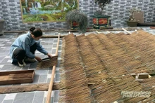 Le village de fabrication d'encens de la commune de Bac Trach existe depuis plus de 300 ans. Photo : baonongnghiep.