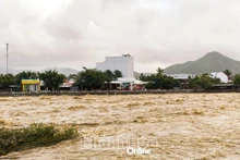 Crue dans la rivière Cai, à Nha Trang, le 4 décembre. Photo : baokhanhhoa.vn