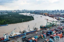 Port de Tan Thuan, à Ho Chi Minh-Ville. (Photo : Thanh Dat)