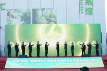 Les dirigeants du Département de promotion du commerce, du Département des marchés étrangers, ainsi que les représentants du Centre de promotion des investissements, du commerce et du tourisme de la province de Khanh Hoa ont assisté à la cérémonie d’ouverture à la ville de Dezhou en Chine. Photo: congthuong