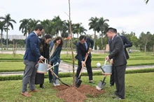 Les délégués plantent des arbres saman au parc Hoa Binh. Photo : Ambassade de Colombie au Vietnam.