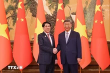 Le président Luong Cuong (gauche) et le secrétaire général du PCC et président chinois Xi Jinping. Photo : VNA.