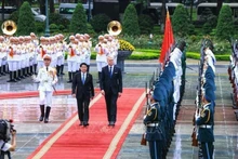 Les deux présidents vietnamien et lituanien, Luong Cuong et Gitanas Nauseda. Photo : VNA.