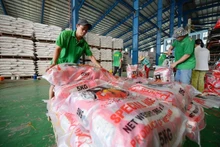 Conditionnement du riz destiné à l’exportation à la SARL Chơn Chính, province de Đồng Tháp. Photo : Duc Anh.