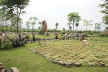 Un musée de fossiles à ciel ouvert dans la mine de charbon de Na Duong. Photo : CK.