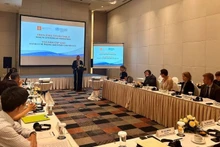 Le Vietnam et le Danemark lancent la troisième phase de leur programme de coopération en santé. Photo : NDEL.