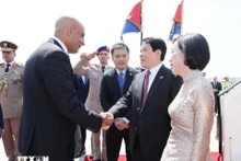 Le président de la République, Luong Cuong, et son épouse, arrivent au Caire. Photo : VNA.