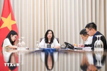 La vice-ministre des Affaires étrangères, Le Thi Thu Hang. Photo : VNA.