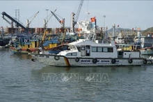 Les forces compétentes mènent les patrouilles dans le port de Quy Nhon. Photo : VNA.