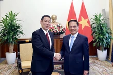 Le vice-Premier ministre et ministre des Affaires étrangères, Bui Thanh Son (droite) et Tanaka Yu, vice-président du Présidium et chef par intérim du Secrétariat du Comité central du Parti communiste japonais. Photo : VNA