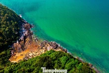 L’île Tran : beauté intacte aux confins maritimes
