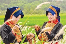 La particularité des costumes féminins de l’ethnie Dao Thanh Phan réside dans la richesse et la complexité de leurs motifs brodés à la main.