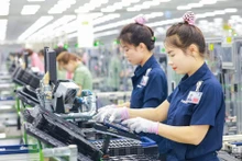 Les « aigles » de la technologie prennent leur envol vers le Vietnam. Photo : cafef.