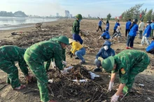 Les volontaires du quartier de Cua Lo mobilisés pour l’assainissement de la plage. Photo : baobienphong.